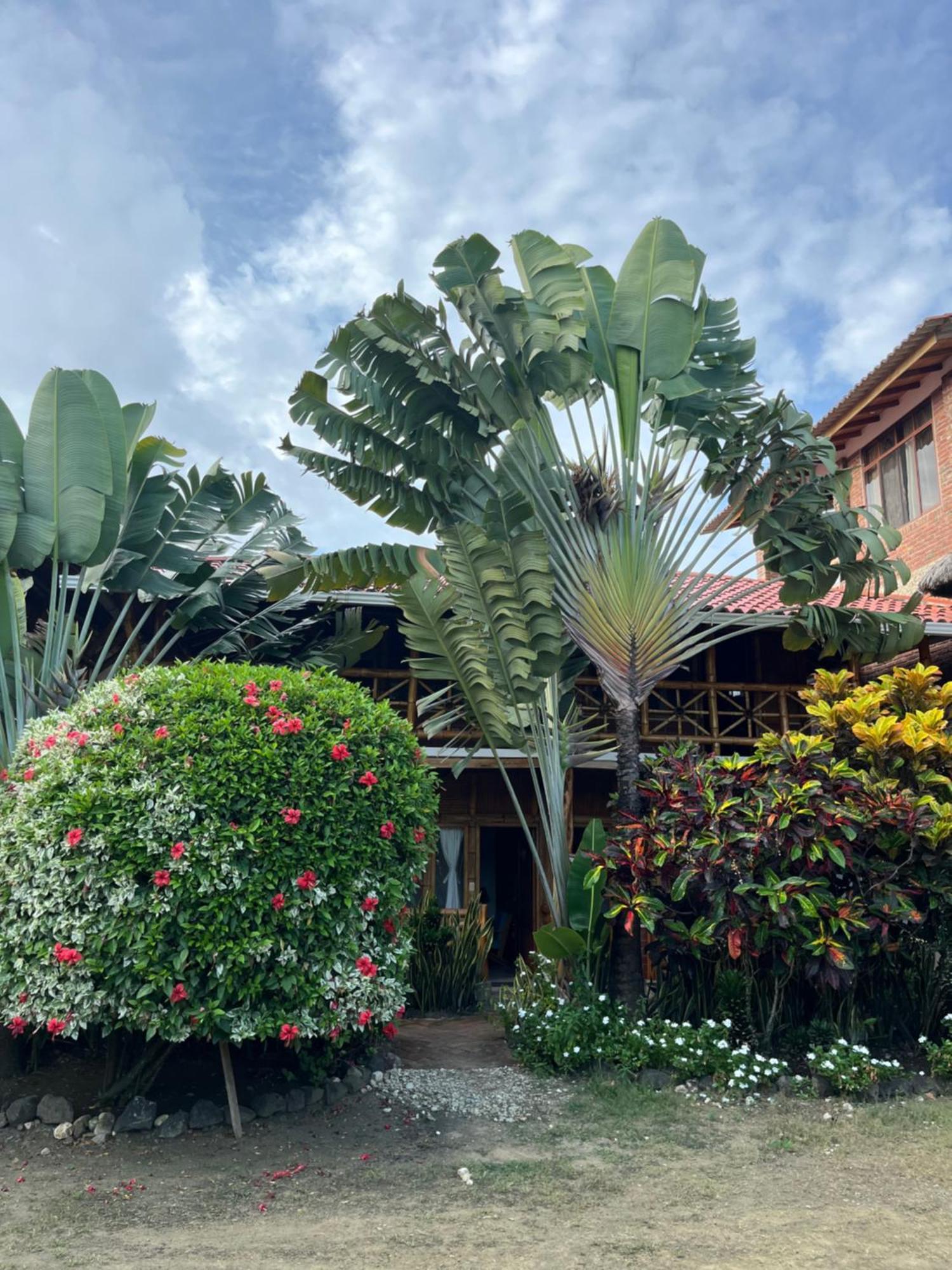 Victor Hugo Hotel Puerto López Kültér fotó